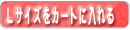 �t�@���` �j���[���[�N Falchi F-BD BK #17