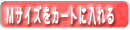 �t�@���` �j���[���[�N Falchi F-BD BK #17